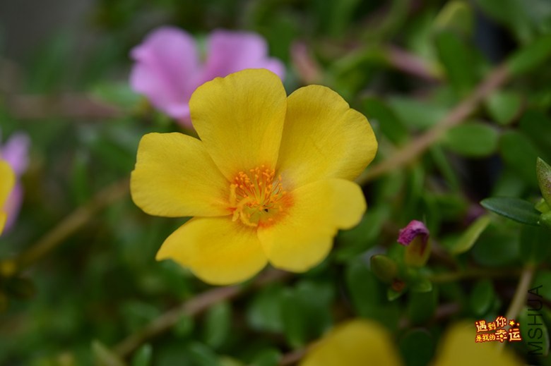 ��Ƭ 105_����.jpg