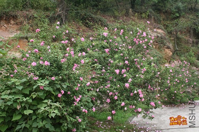 ��Ƭ 051_����.jpg