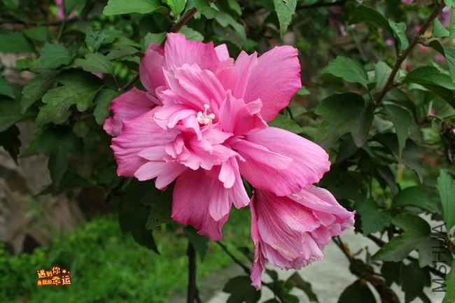 ��Ƭ 053_����.jpg