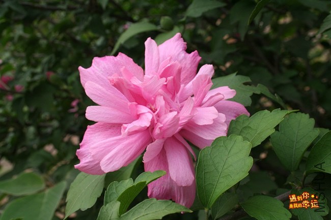 ��Ƭ 054_����.jpg