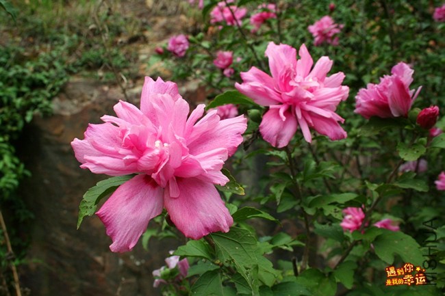 ��Ƭ 058_����.jpg