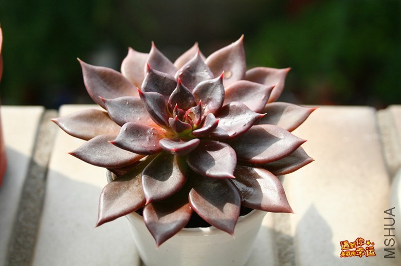 ��Ƭ 093_����.jpg