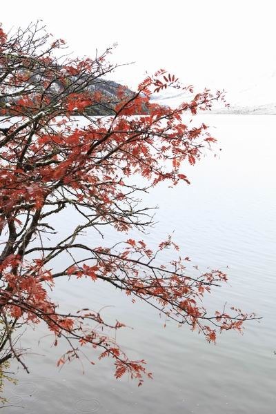 ʮһ��ľ��� (10).jpg