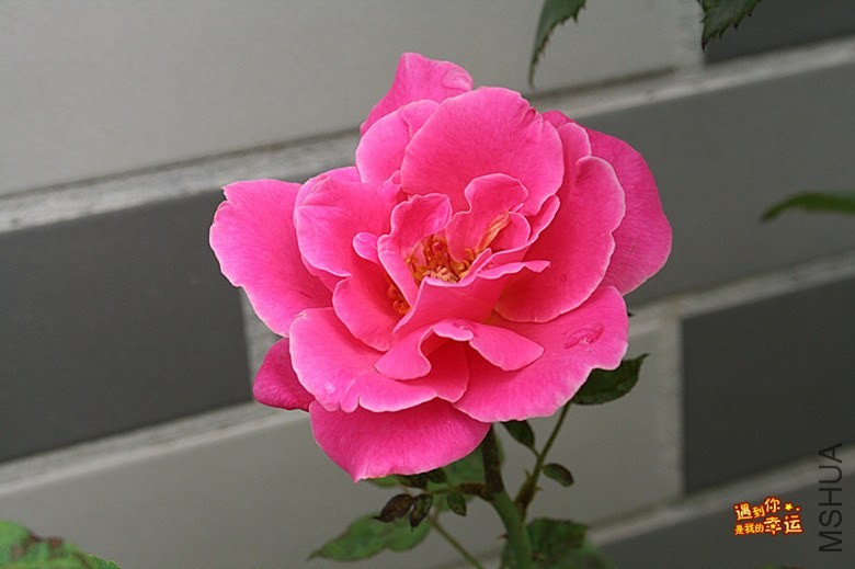 ��Ƭ 018_����.jpg