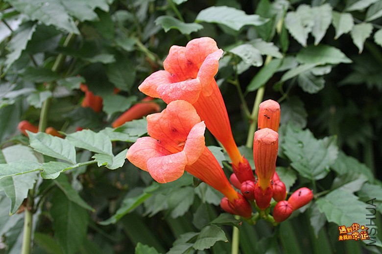 ��Ƭ 022_����.jpg