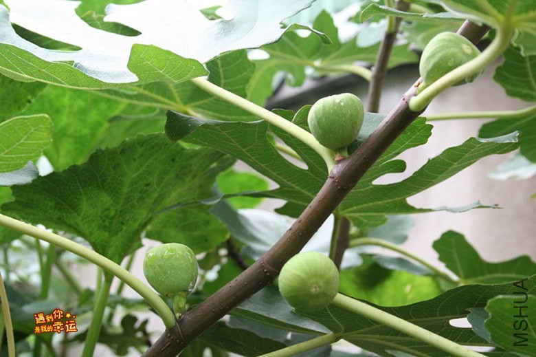 ��Ƭ 062_����.jpg