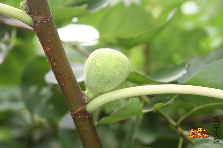 ��Ƭ 063_����.jpg