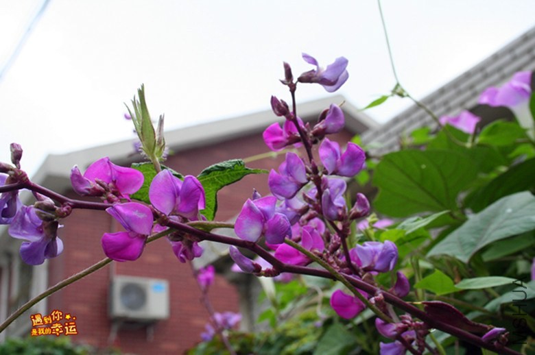 ��Ƭ 038_����.jpg