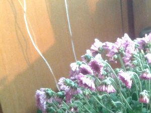 2013-10-08 15.50.05_mh1381218731684.jpg
