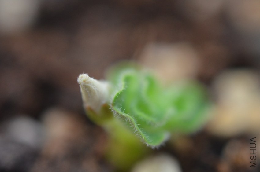 ��ë����20131009 001.JPG