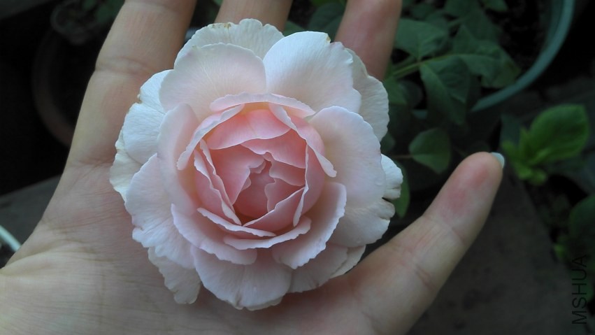 2013-10-10_06-37-24_672.jpg