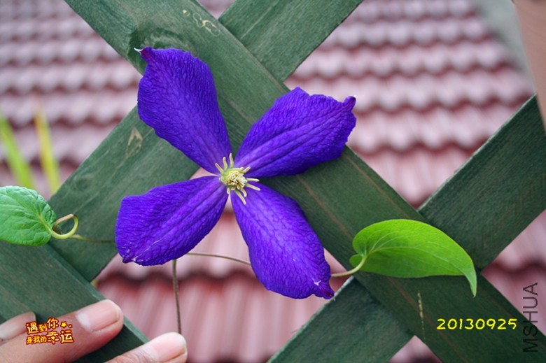 ��Ƭ 002_����.jpg