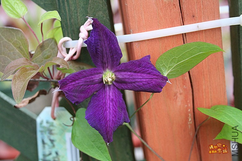 ��Ƭ 003_����.jpg