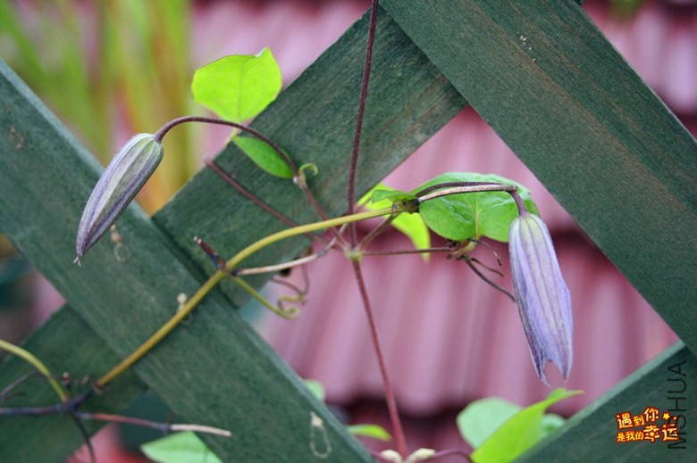 ��Ƭ 007_����.jpg