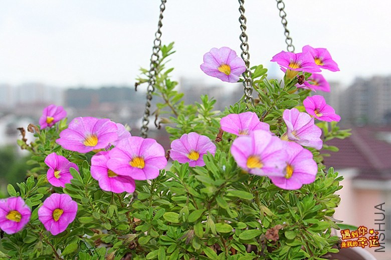 ��Ƭ 014_����.jpg