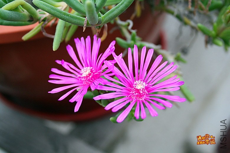 ��Ƭ 009_����.jpg