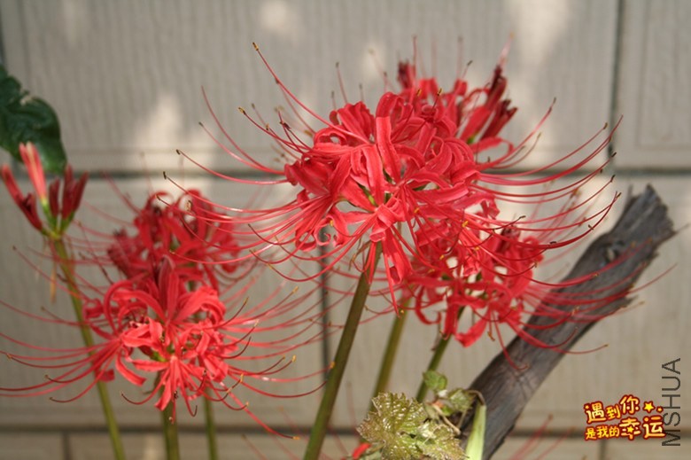 ��Ƭ 227_����.jpg