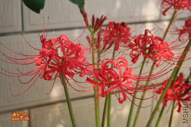 ��Ƭ 229_����.jpg