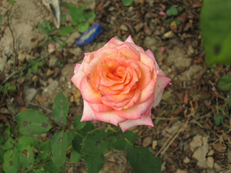 dHF8i6ToFgAA&amp;bo=IANYAgAAAAABAF4!&amp;rf=photoDetail.jpg