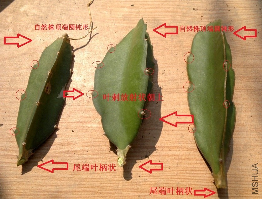 201310112114.jpg