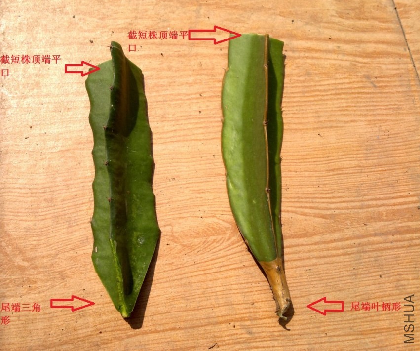 201310112115.jpg