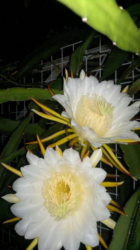 201309181998.jpg