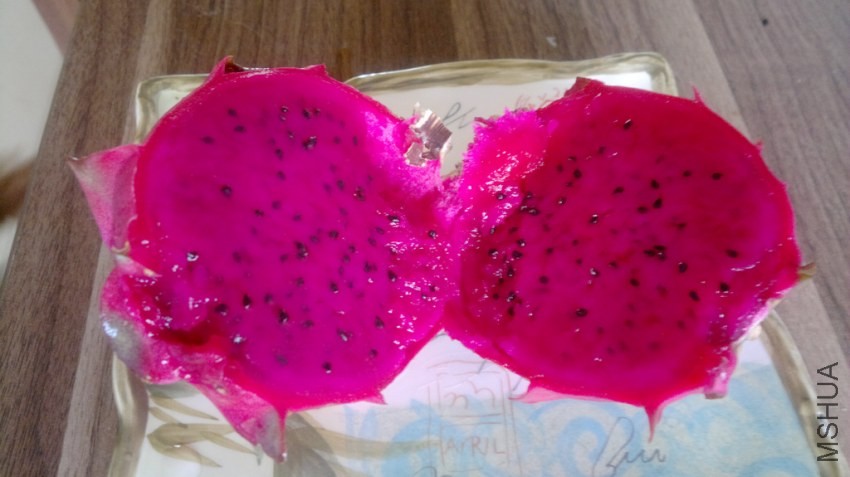 201309171982.jpg