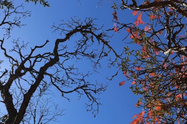 ��������ľ��� (10).JPG