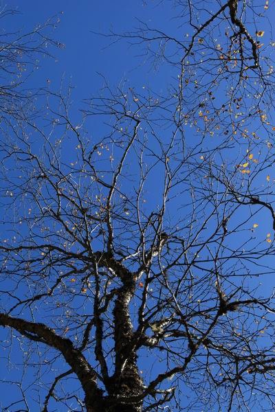 ��������ľ��� (9).JPG