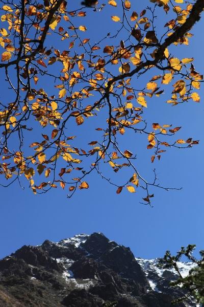 ��������ľ��� (8).JPG