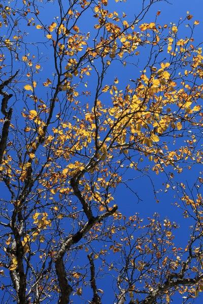 ��������ľ��� (7).JPG