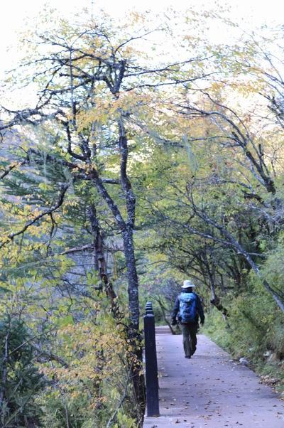 ��������ľ��� (6).JPG