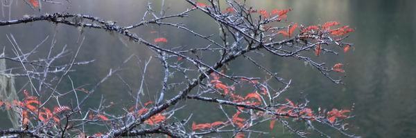 ��������ľ��� (5).jpg