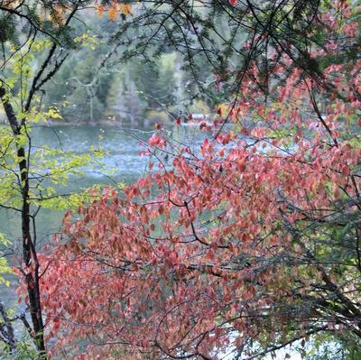 ��������ľ��� (4).jpg