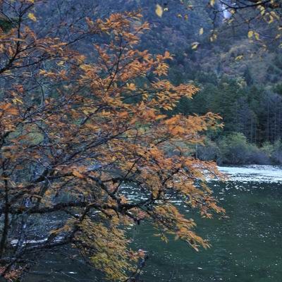 ��������ľ��� (3).jpg