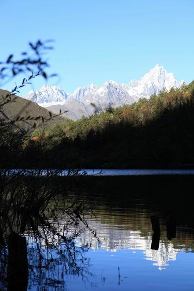 ��������ľ��� (2).JPG