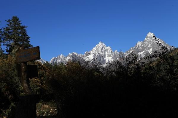 ��������ľ��� (1).JPG