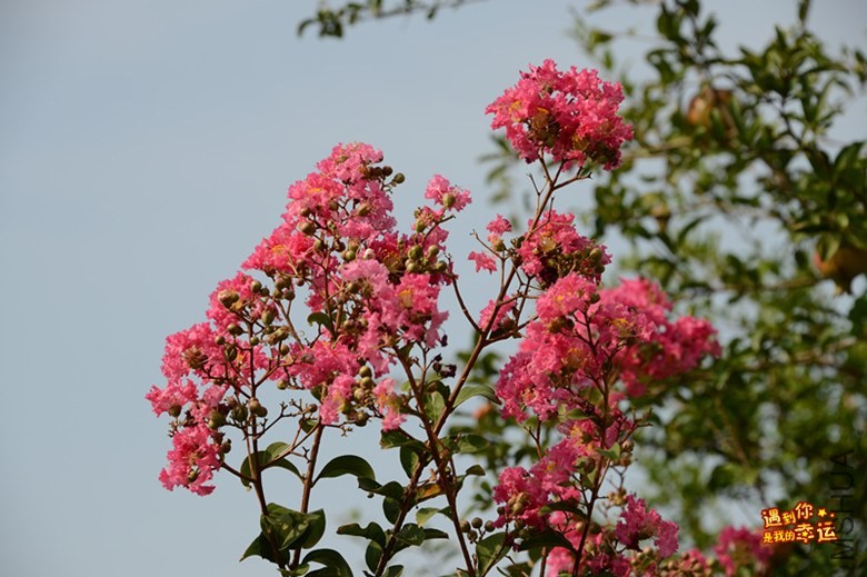 ��Ƭ 172_����.jpg