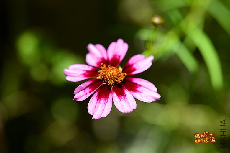 ��Ƭ 161_����.jpg