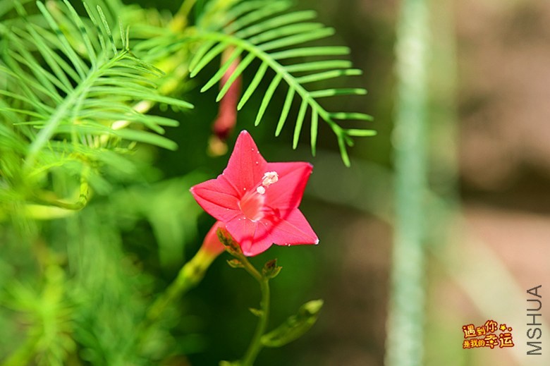 ��Ƭ 151_����.jpg