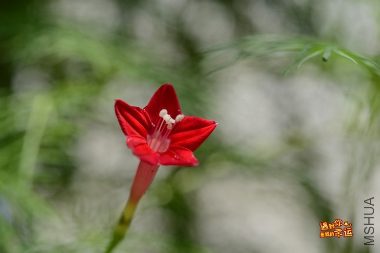 ��Ƭ 152_����.jpg