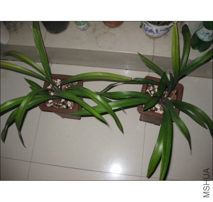 QQͼƬ20131011185205.jpg