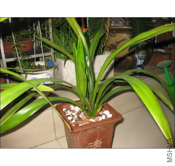 QQͼƬ20131011185214.jpg