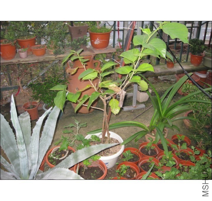 QQͼƬ20131011185316.jpg