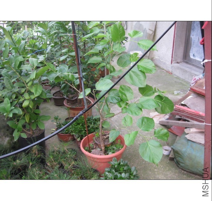 QQͼƬ20131011185324.jpg