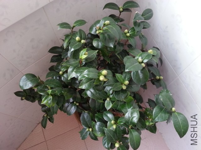20131012_075955.jpg