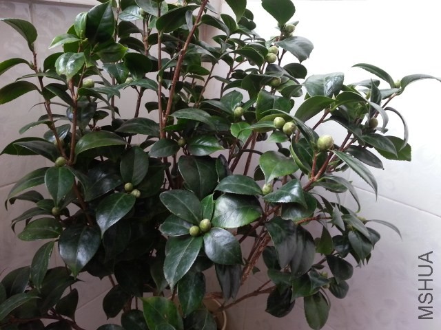 20131012_080005.jpg
