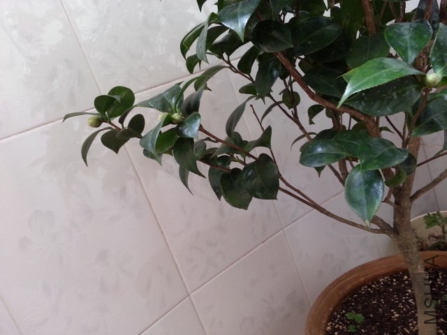 20131012_080025.jpg