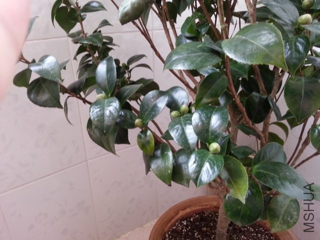 20131012_080050.jpg