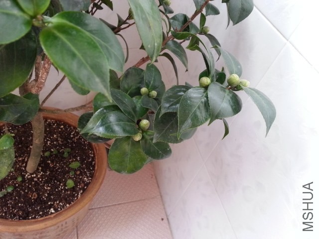 20131012_080031.jpg